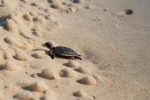 Tortuga en el playa, majestuoso mar criaturas ai generativo foto