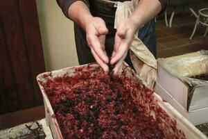 Handmade blood sausage preparation, Argentine tradition, Pampas, Patagonia photo