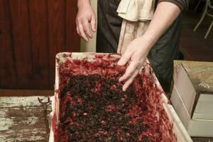 Handmade blood sausage preparation, Argentine tradition, Pampas, Patagonia photo