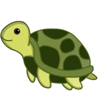 un verde Tortuga con un blanco antecedentes png