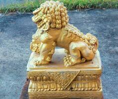 The golden lion of China that sits photo