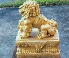 The golden lion of China that sits photo