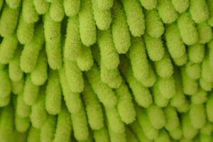 Close-up shot of green mop cloth photo