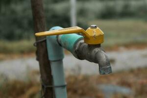 Yellow faucet and blue pvc pipe used to water the plants. photo