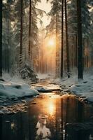 Natural Winter Forest Wallpaper photo