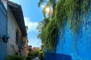 Scenic colorful colonial architecture of Cuernavaca streets in historic center in Mexico Morelos photo