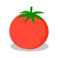 tomate icono aislado en blanco antecedentes. vector