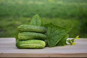 Fresh organic cucumbers on a brown wooden table. Salad ingredient, Fresh vegetables, Vegan food photo
