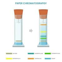 Paper chromatography, Separates components based on differential migration on paper vector