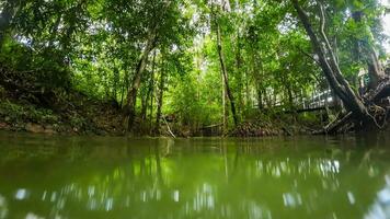 water surface stream and forest photo