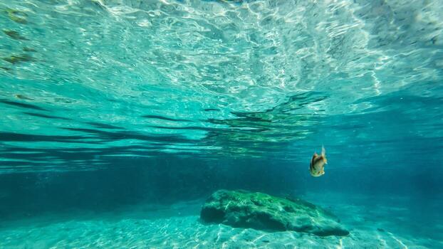 underwater turquoise texture in water   wide angle view photo