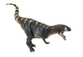dinosaur , Carcharadontosaurus  isolated background photo