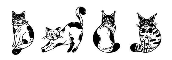 linda gatos vector colocar. mullido de pura raza y superado gatitos atigrado, manchado negro y blanco mascotas. perezoso, gruñón, sentado Doméstico animales sencillo aislado garabatear. dibujos animados clipart para pegatinas, imprimir, web