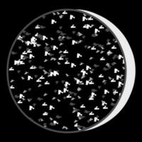 Black and white glitter pattern circle on black background. vector