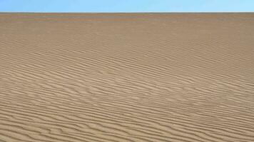 parallèle le sable modèle lignes sur dune surface dans désert video