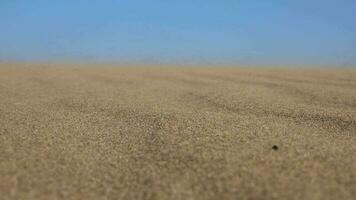 Sandstorm on Sand Surface in Desert video