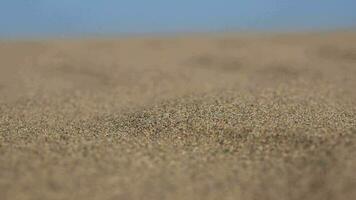 sandstorm på sand yta i öken- video