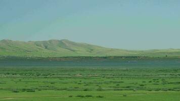 Flat Meadow in Front of Low Hills in Asia video