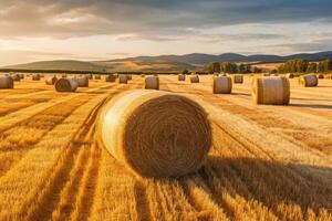 Round bales of straw rolled up on field against blue sky, autumnal harvest scenery. Generative AI photo