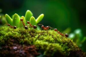 de cerca de un hormiga que lleva presa. generativo ai foto