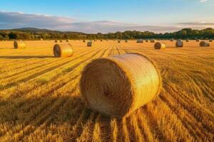 Round bales of straw rolled up on field against blue sky, autumnal harvest scenery. Generative AI photo