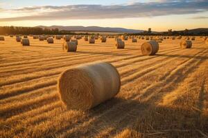 Round bales of straw rolled up on field against blue sky, autumnal harvest scenery. Generative AI photo