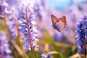 Purple butterfly on wild white violet flowers in grass. Generative AI photo