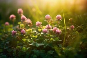 Clover flowers in nature on a natural background.Generative AI photo