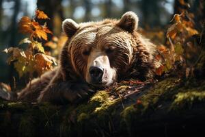 descansando en el bosque es un marrón oso. generativo ai foto