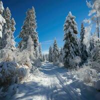 Beautiful landscape, snowy road in the forest between the trees, winter sseason. Generative AI photo