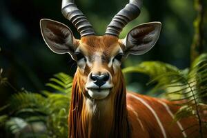 Big eastern bongo antelope. Generative AI photo