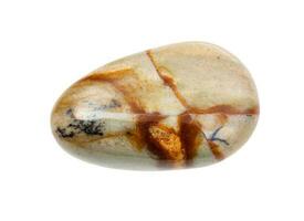 polished landscape jasper gem stone isolated photo