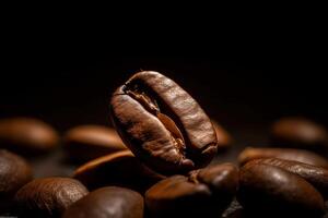 A single coffee bean roasted brown bean texture photo