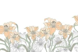 Hand Drawn Soft Lily Flower Background vector