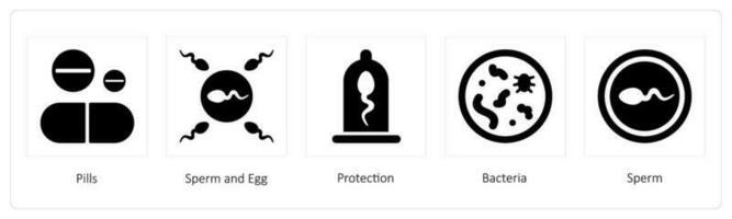 Pills, Sperm and Egg vector