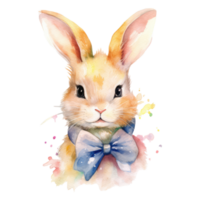watercolour rabbit dressed in clothes . AI Generated png