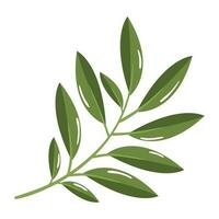 branch leaves icon isolated design vector