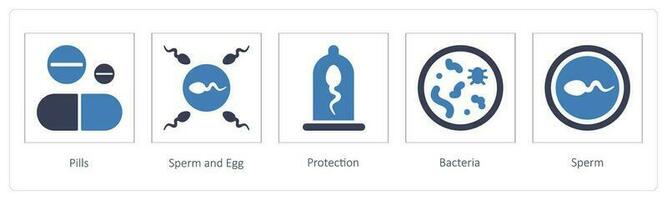 Pills, Sperm and Egg vector
