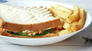 uma sanduíche e francês fritas em uma prato video
