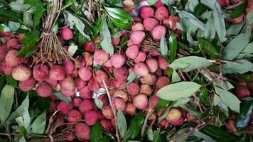 Lychee in bowl with leafs on wooden background video