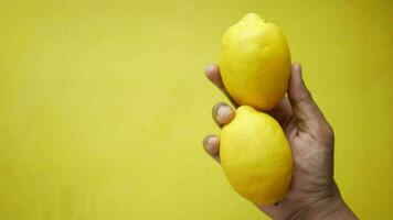 een hand- Holding twee citroenen Aan een geel achtergrond video