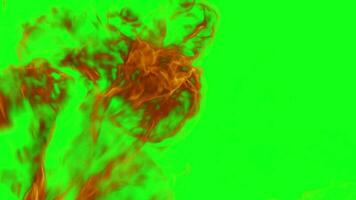 fogo de artifício transição com verde tela fundo - livre vídeo video