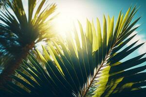 Close up of palm tree with the sun shining in the background. Generative AI photo