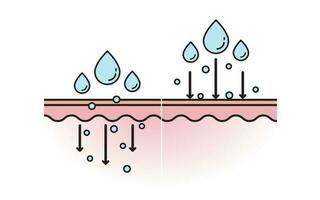 The mechanism of nutrient absorption through skin layer vector, the skincare product doesn't get absorbed, that does not penetrate into the skin layer vector on white background. Flat icon.