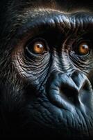 Close up of monkey's face with very intense look. photo