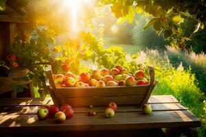 Basket full of apples sitting on wooden table in the sun shining through the leaves. Generative AI photo