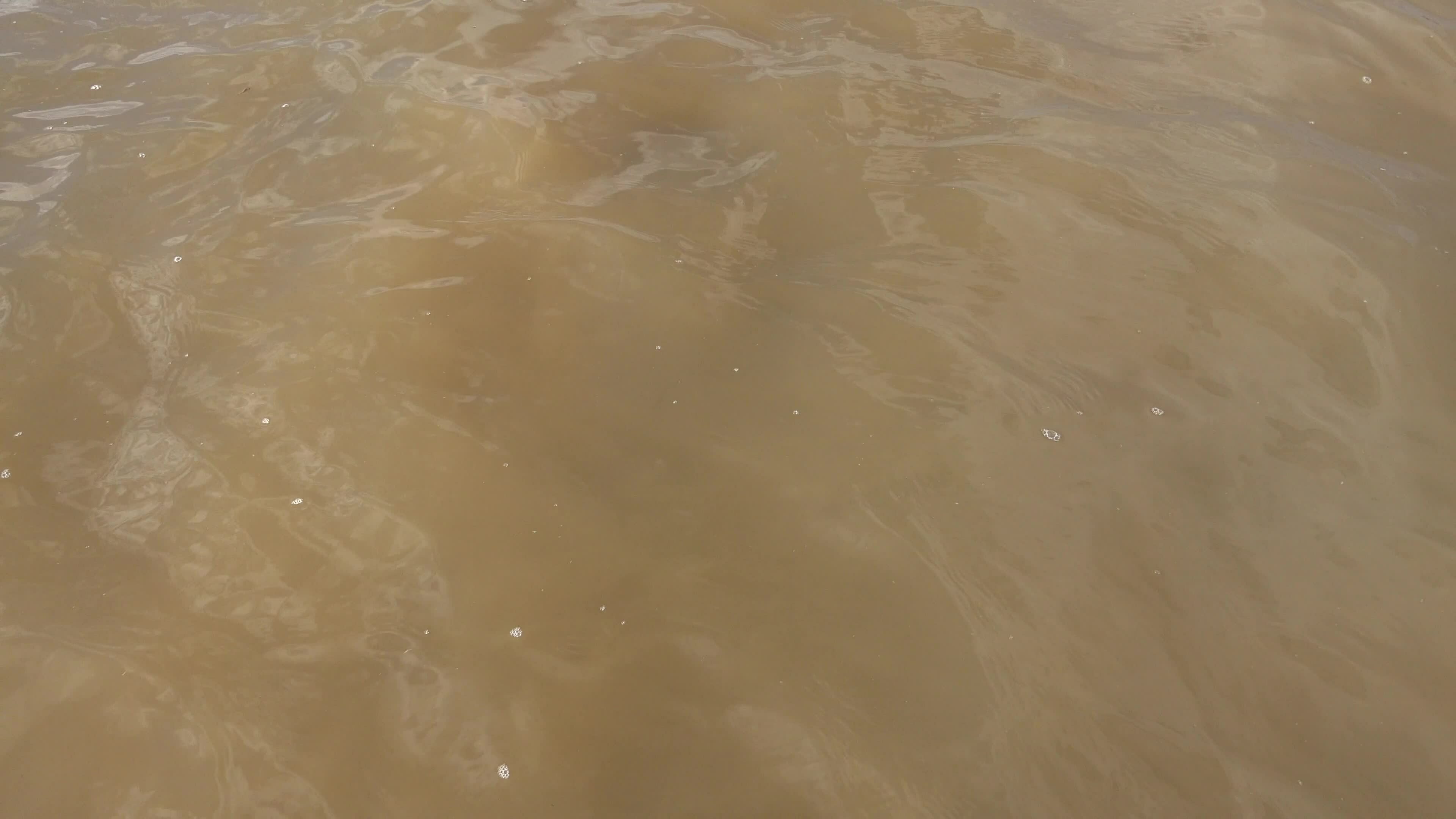 Muddy Water Newsblog Posts - azqenf1