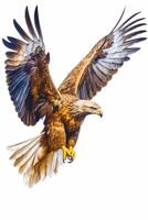 Image of eagle flying with its wings spread out and spread out. Generative AI photo