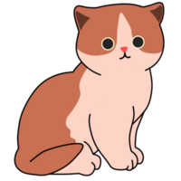 Cute cat character png