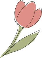 Hand drawn tulip isolated on white background. Vector illustration